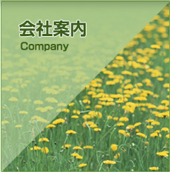 会社案内